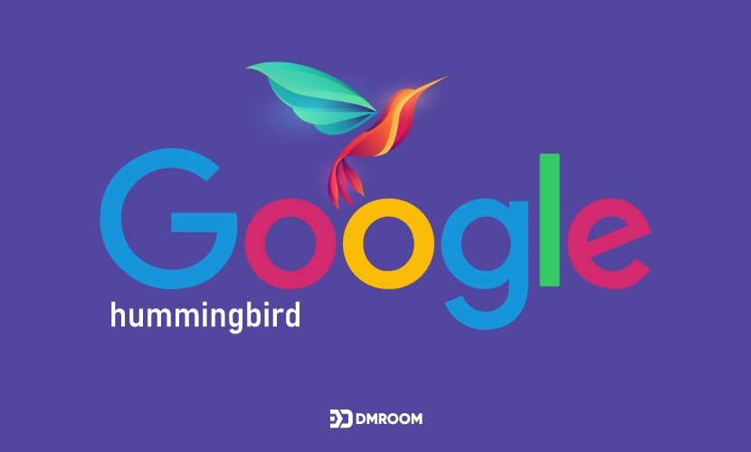 اصطلاحات سئو - الگوریتم مرغ مگس ‌خوار (Google Hummingbird)